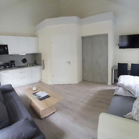 Ferienwohnung Teichblick Freiberg Quarto foto